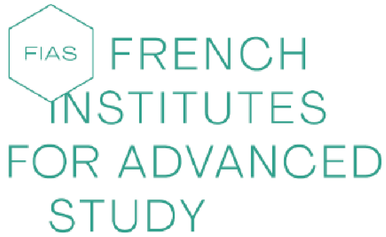 French Institutes for Advanced Study Fellowship Programme