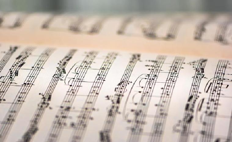Musique et interdisciplinarité